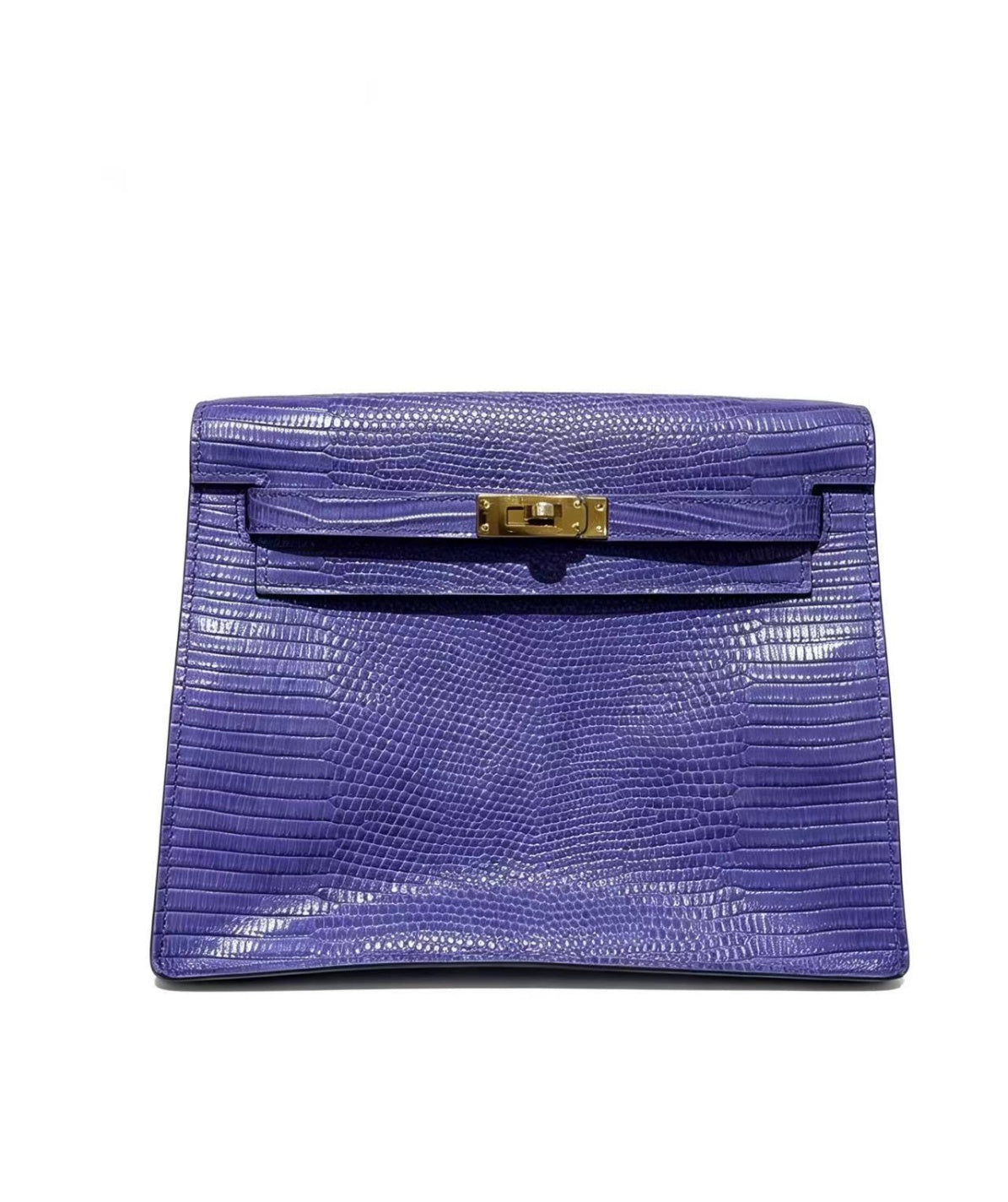 22cm Original Handcrafted Bag With Cowhide And Lizard Pattern